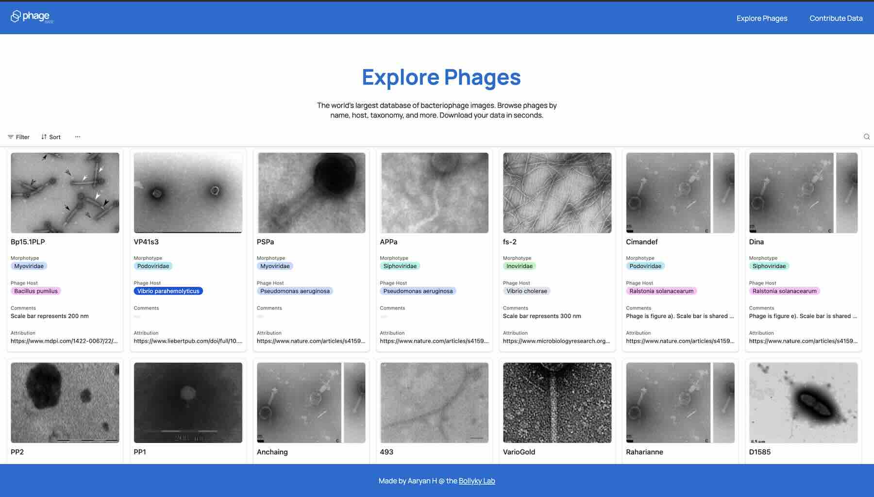 The user interface for PhageBase