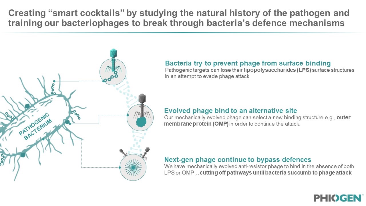 Figure 4: Patent protection has been secured around PHIOGEN’s “Directed Evolution” machine which allows for continuous phage-bacteria interactions that results in offspring phage which are evolved and programmed to be “anti-resistors”.