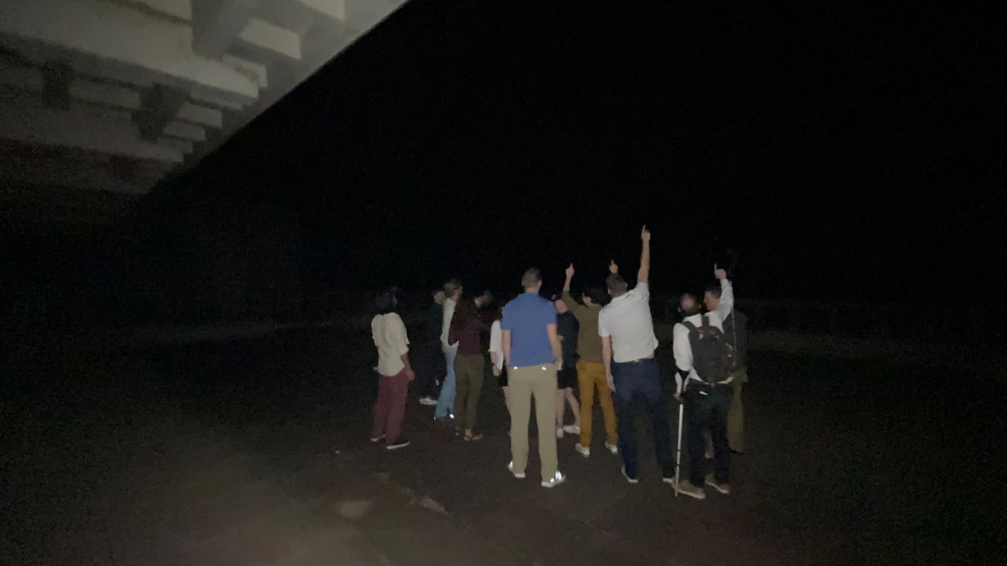 Fig 9. Everyone’s looking up at the Perseid meteor showers!